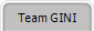 Team GINI